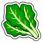 Crop Spinach