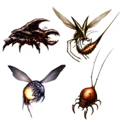 Talloniv bugs