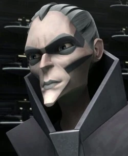 MeeDeechi-POP.jpg