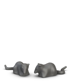 Rats