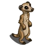 Meerkat-icon