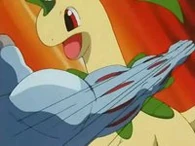 EP211 Machoke luchando con bayleef después de haber usado foco energía.