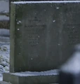 JohnAndDinahStevensonGrave.jpg