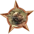 Badge-edit-2.png