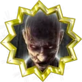 Badge-1613-7.png