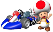 MKWii Toad