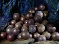 Horta eggs.jpg