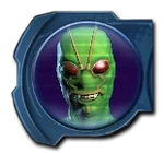 Ambush bug