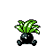 Oddish cristal