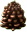 Pinecone