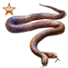Item twoheadedsnake bronze 01.png