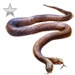 Item twoheadedsnake silver 01.png