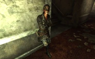 FNV Pretty Sarah