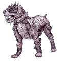 RaiderDogBOS.png