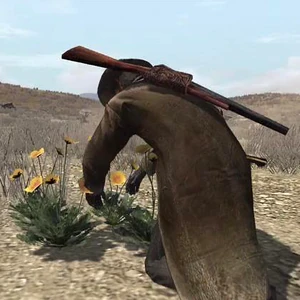 Rdr prairie poppies