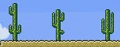 48 Cacti.png