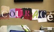 Courage 33