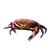Item browncancercrab 01.png