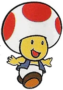 Toad SMB2