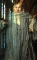 Fat friar hpps.jpg