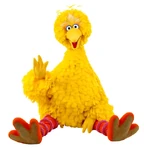 BigBird-sitting
