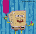 Sponge Gloss