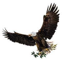 Huge item freedomeagle 01.png