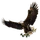 Item freedomeagle 01