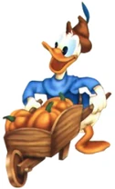 Donald campesino