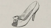 Theresa taraldsens shoe