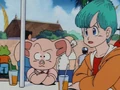 KonkichiOolongBulma
