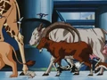Animals2