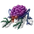 40px-Brain