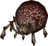 Armogohma Eye (front)