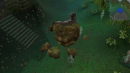 Earthquake rocks portphasmatys