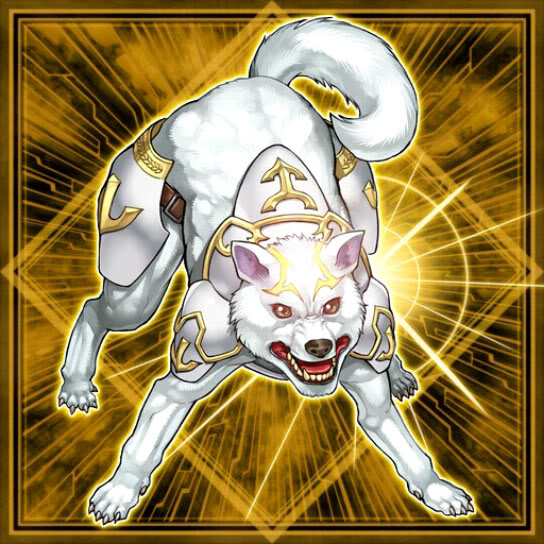Foto ryko, cazador luminoso.jpg