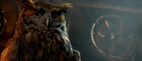 Bubo 2
