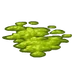 Algae-icon.png