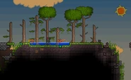 Overground Jungle Trees