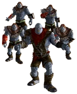 DavisonNightkin