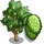 Soursop Tree-icon