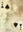 FNV 2 of Spades - Gomorrah