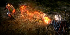 Tw2 journal igni