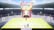 Dog race final stage