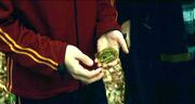 Branchiflore 2