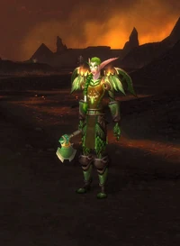 Image of Hyjal Defender
