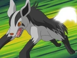 EH16 Mightyena de Butch