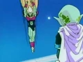 DivingSpice