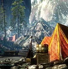 Tw2 journal campoftheorderoftheflamingrose