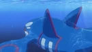 P12 Kyogre